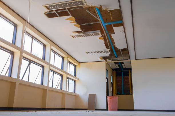 Best Flooded house restoration  in Pleasant Hill, MO