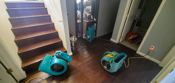 Best Mold removal after water damage  in Pleasant Hill, MO
