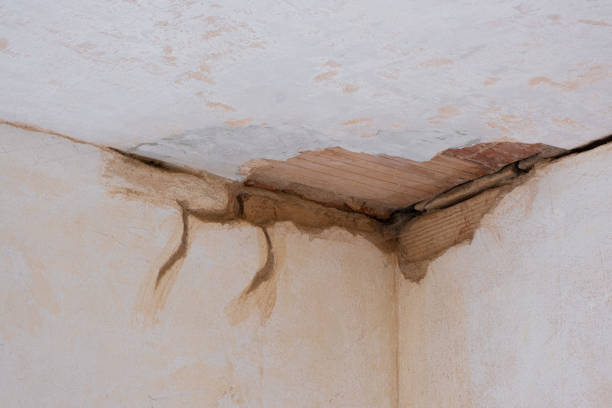 Water damage restoration experts in MO