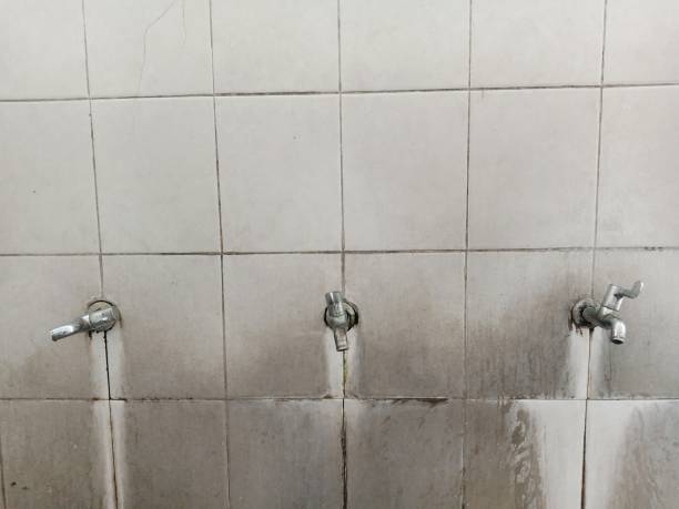Best Flood restoration services  in Pleasant Hill, MO