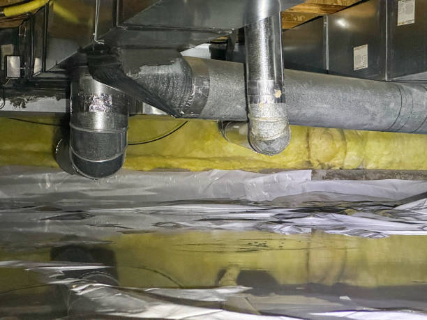 Best Mold removal after water damage  in Pleasant Hill, MO