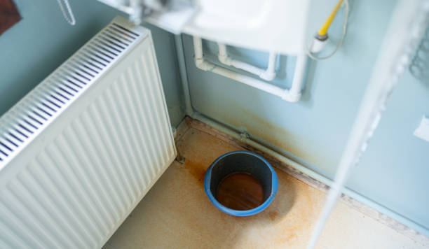 Best Flood damage cleanup  in Pleasant Hill, MO