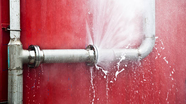 Best Water damage cleanup near me  in Pleasant Hill, MO